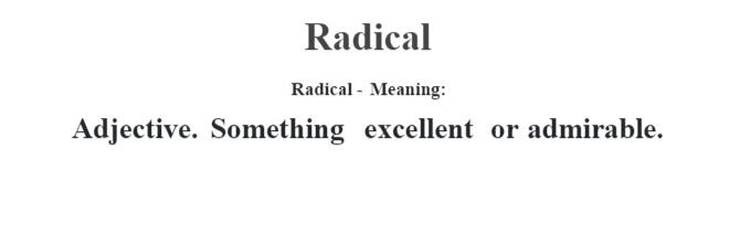 Definition of Radical & Practical = Right to Recovery Bill.